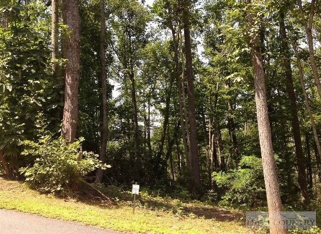 Image number 13 for the current listing
