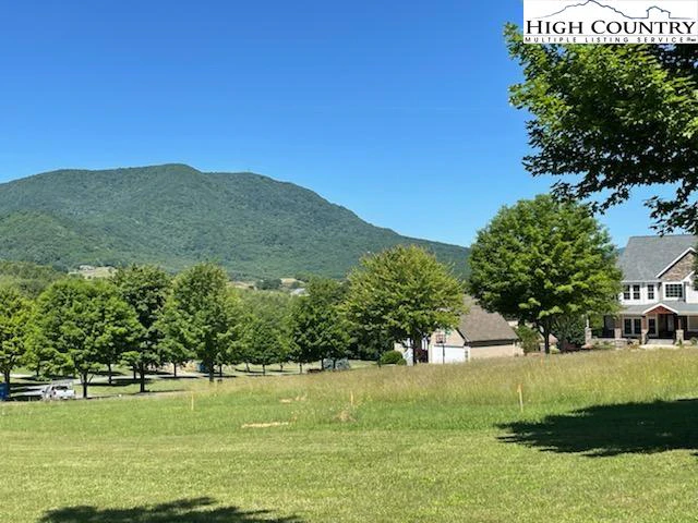 Image number 1 for the current listing