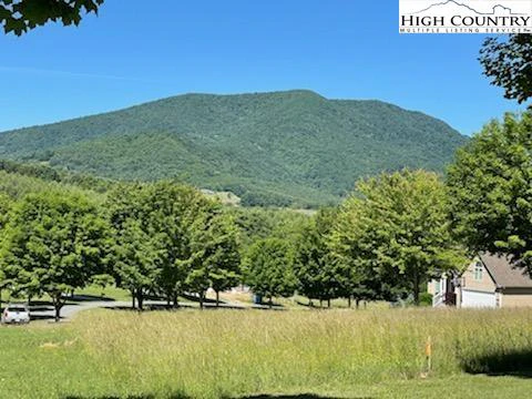 Image number 6 for the current listing