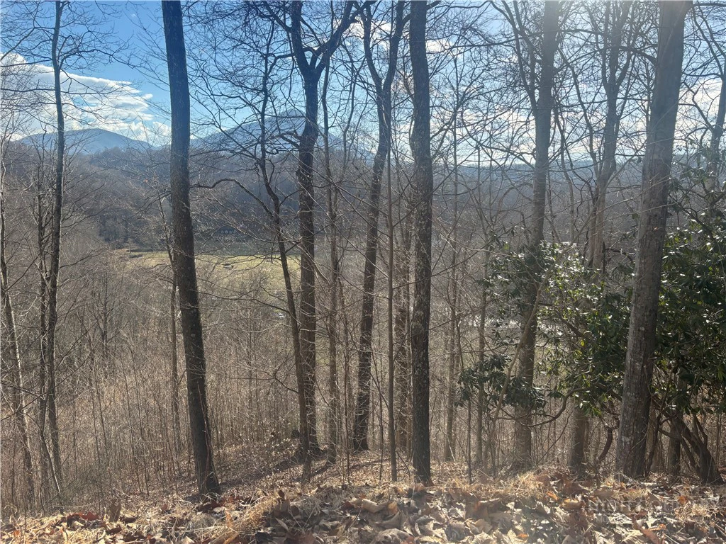 Image number 2 for the current listing