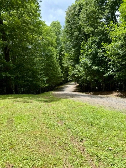 Image number 4 for the current listing