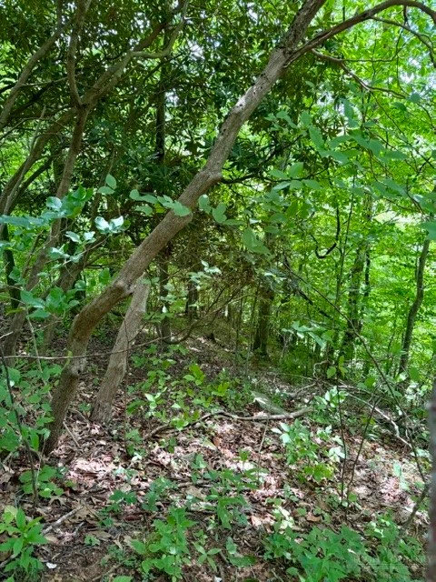 Image number 5 for the current listing