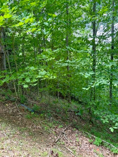 Image number 8 for the current listing