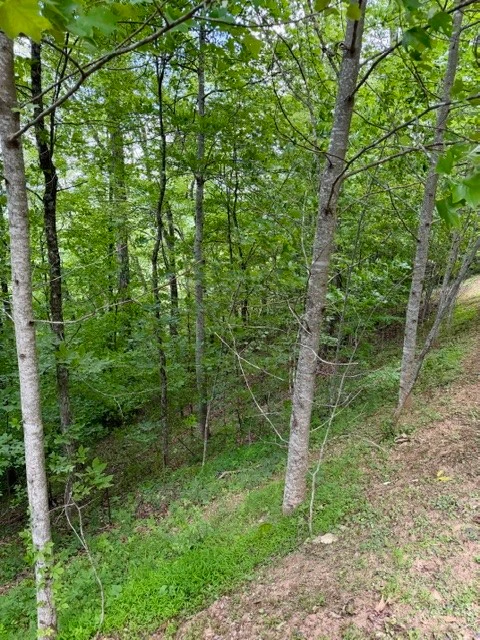 Image number 10 for the current listing