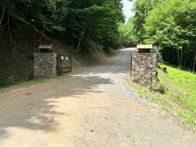 Image number 14 for the current listing