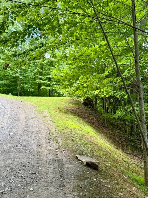 Image number 15 for the current listing