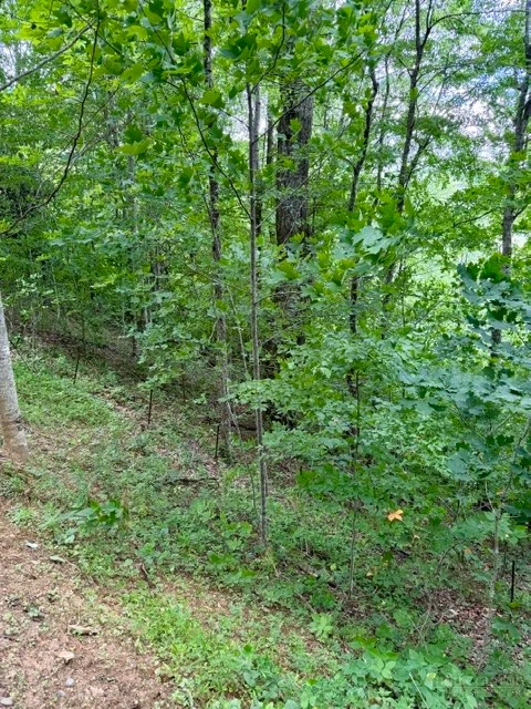 Image number 16 for the current listing