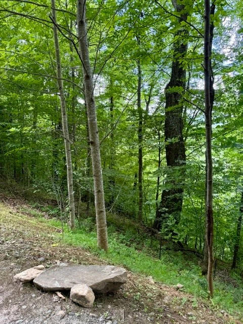 Image number 17 for the current listing