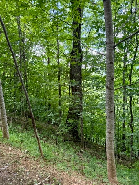 Image number 18 for the current listing