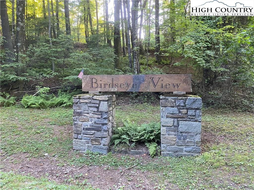 Image number 1 for the current listing