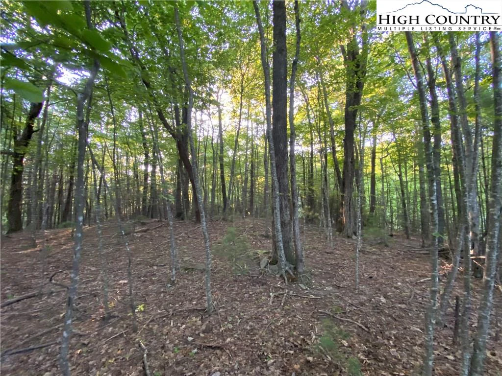 Image number 9 for the current listing