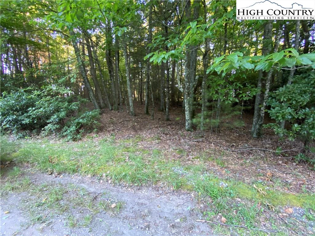 Image number 8 for the current listing
