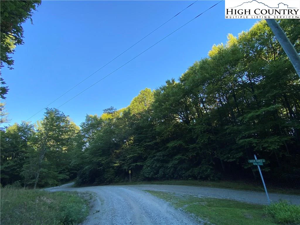 Image number 7 for the current listing