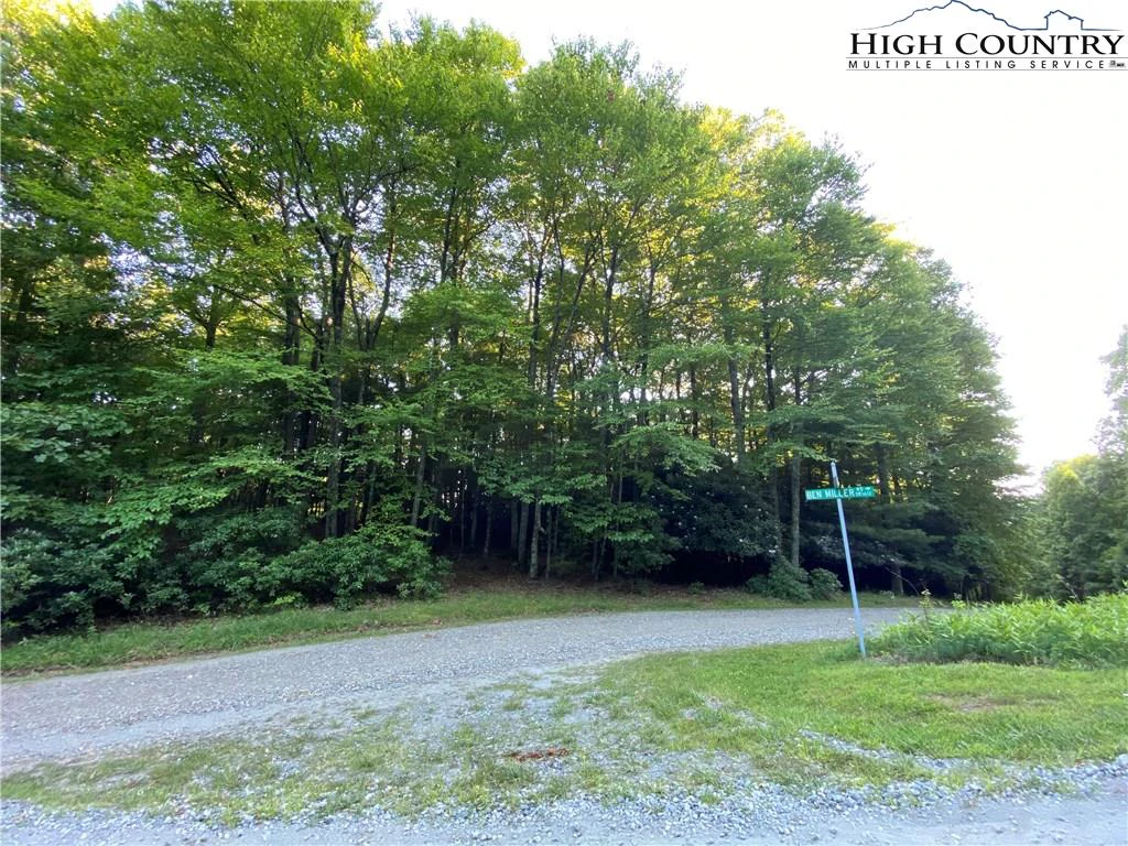 Image number 6 for the current listing