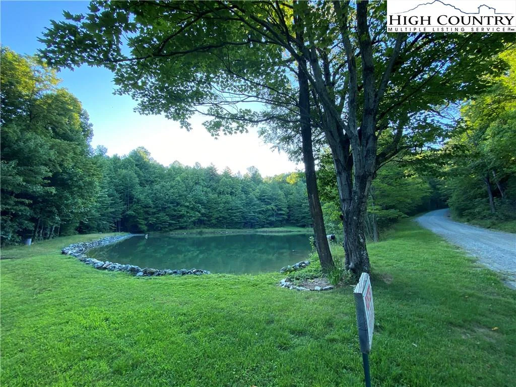 Image number 5 for the current listing