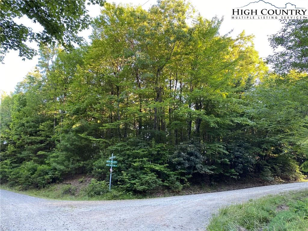 Image number 14 for the current listing