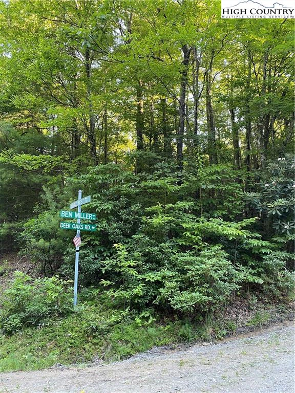 Image number 13 for the current listing