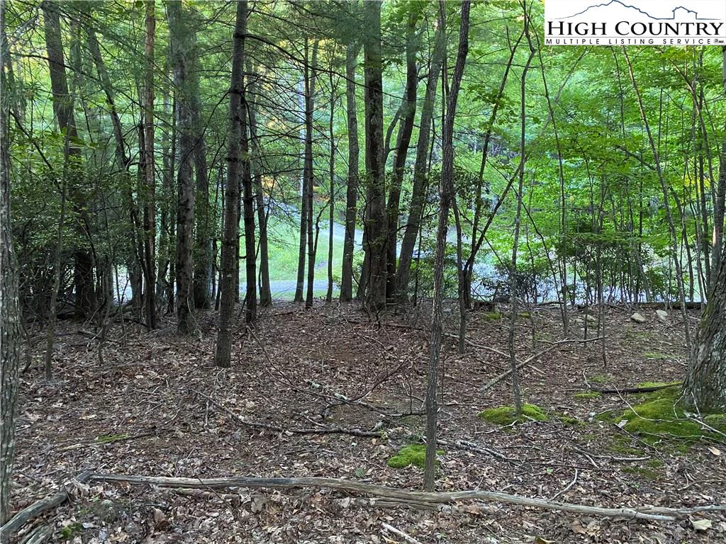 Image number 12 for the current listing