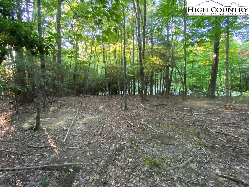 Image number 11 for the current listing