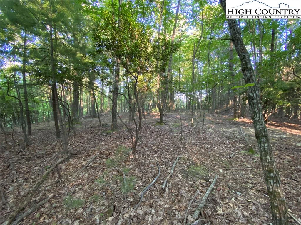 Image number 2 for the current listing