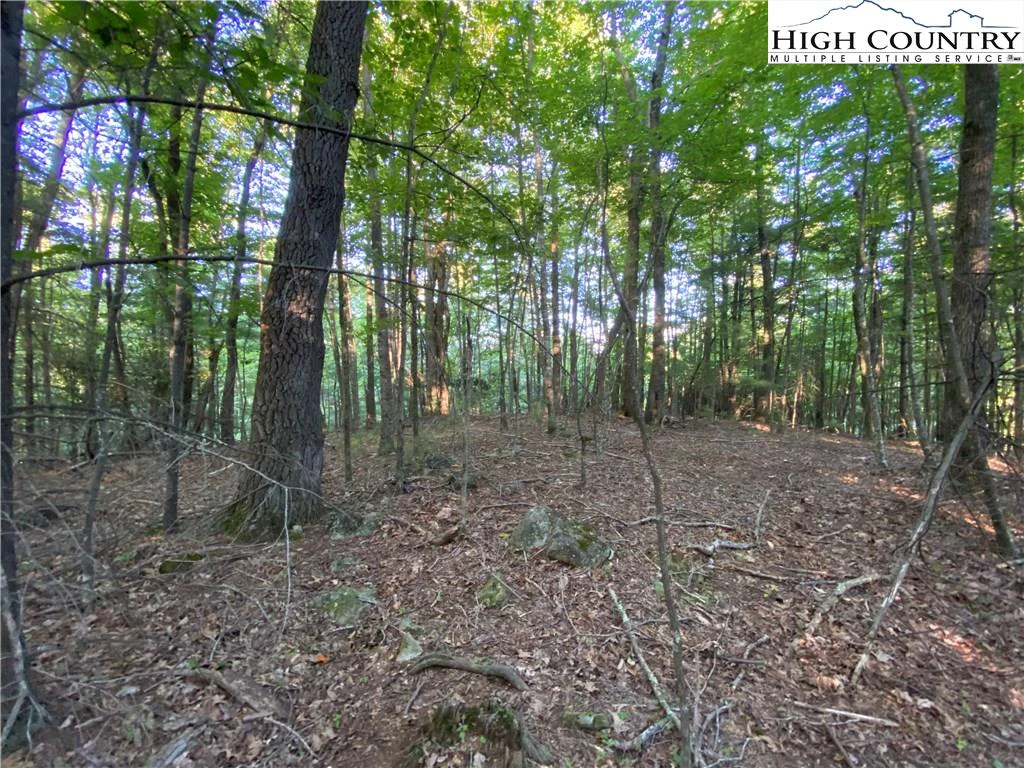 Image number 10 for the current listing