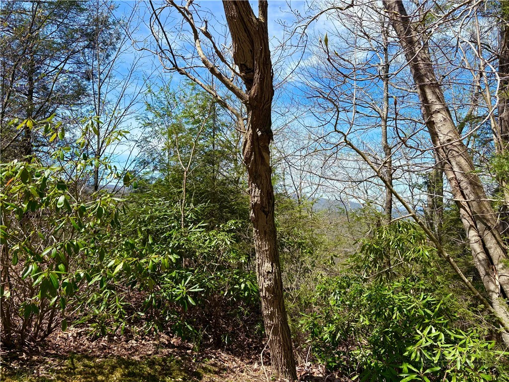 Image number 3 for the current listing