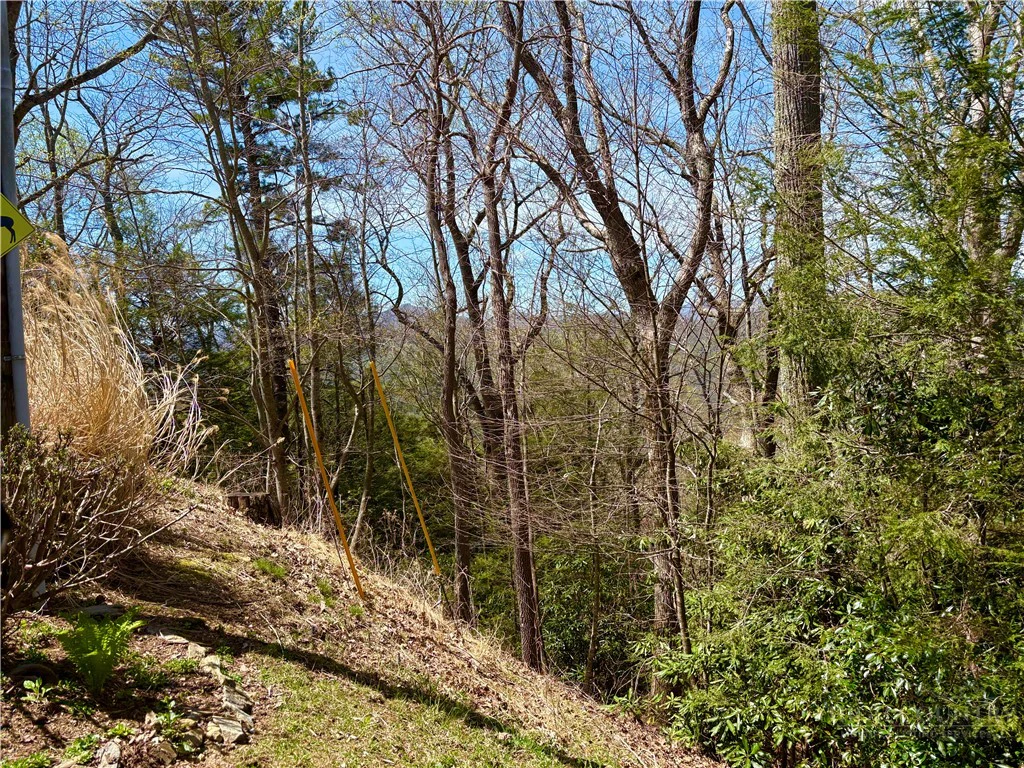 Image number 11 for the current listing