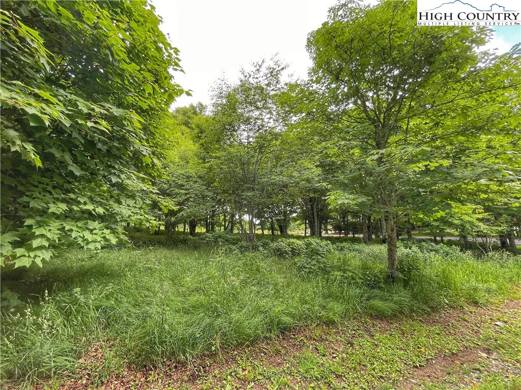 Image number 9 for the current listing