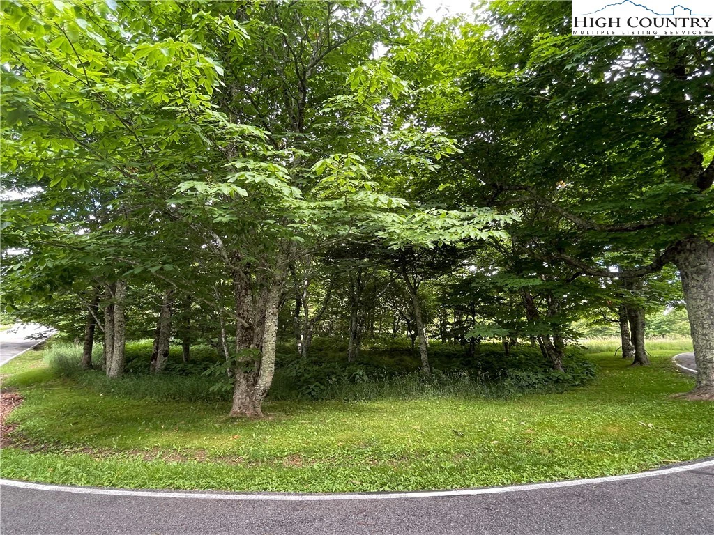 Image number 6 for the current listing