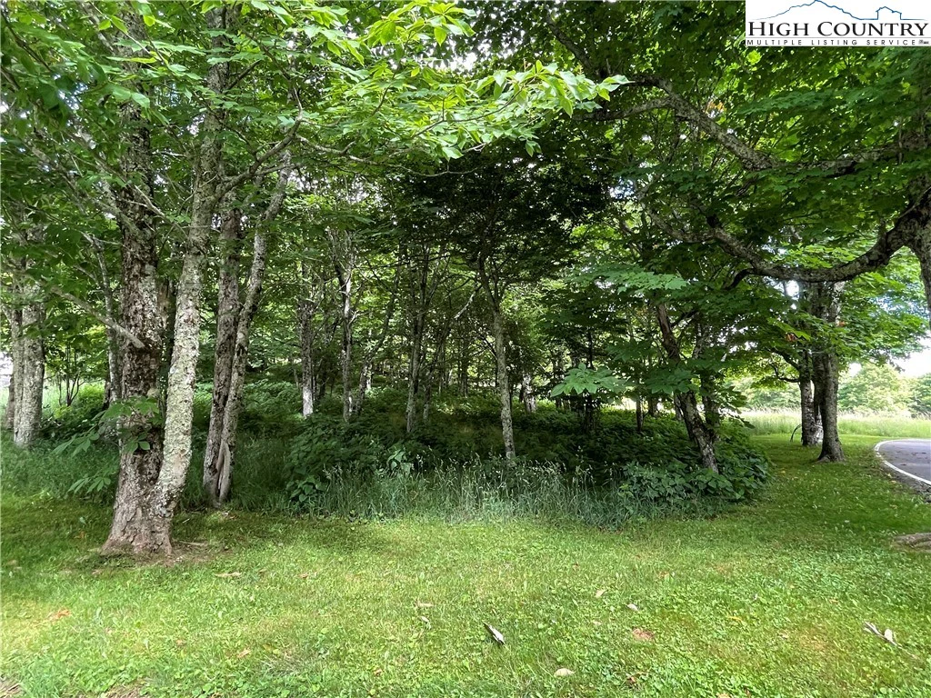 Image number 5 for the current listing