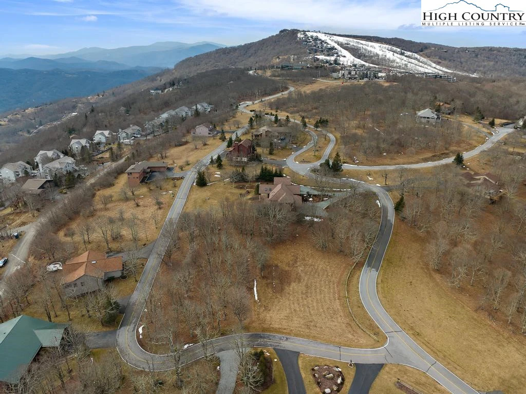 Image number 1 for the current listing