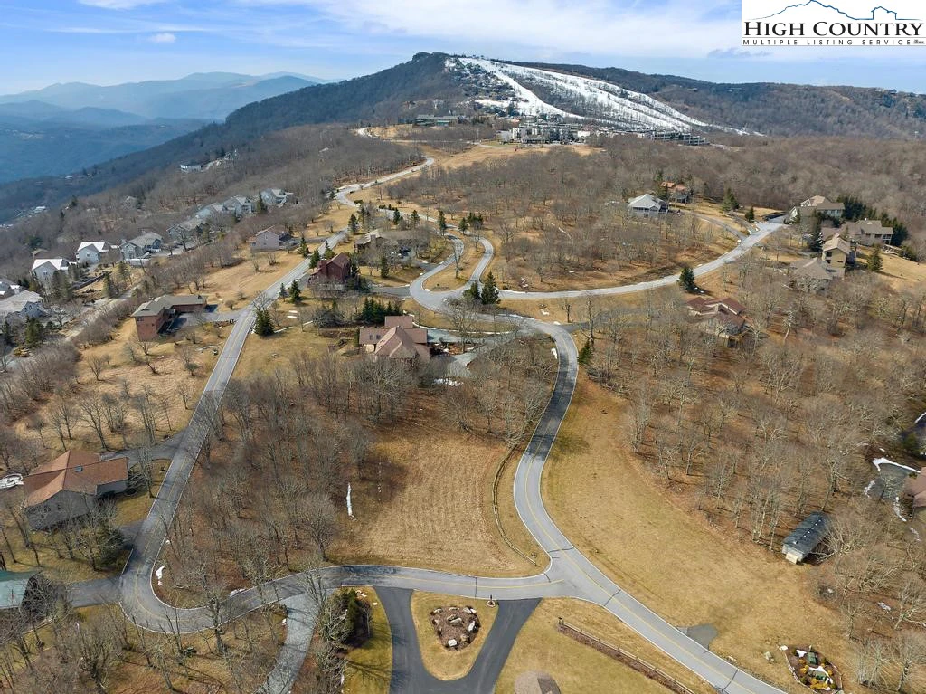 Image number 3 for the current listing