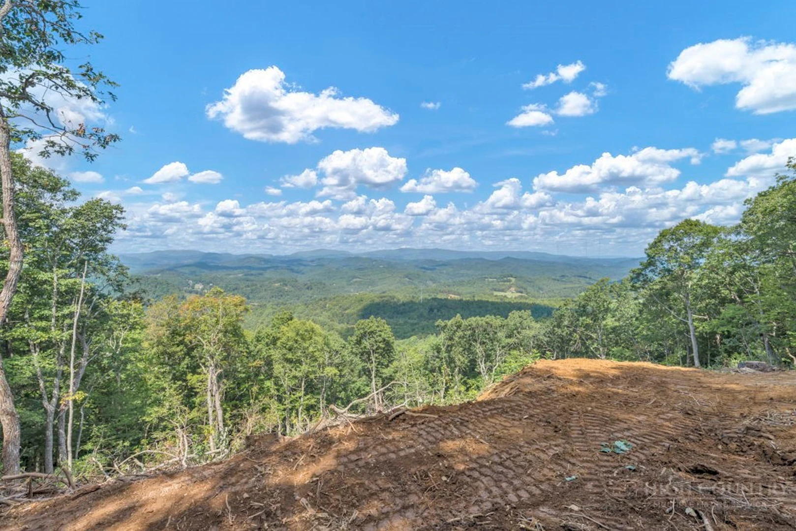 Image number 1 for the current listing