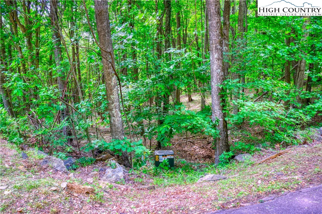 Image number 5 for the current listing