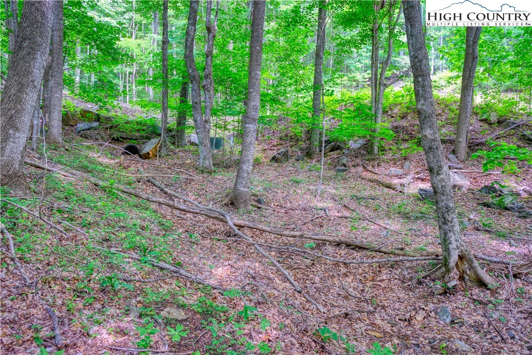 Image number 6 for the current listing