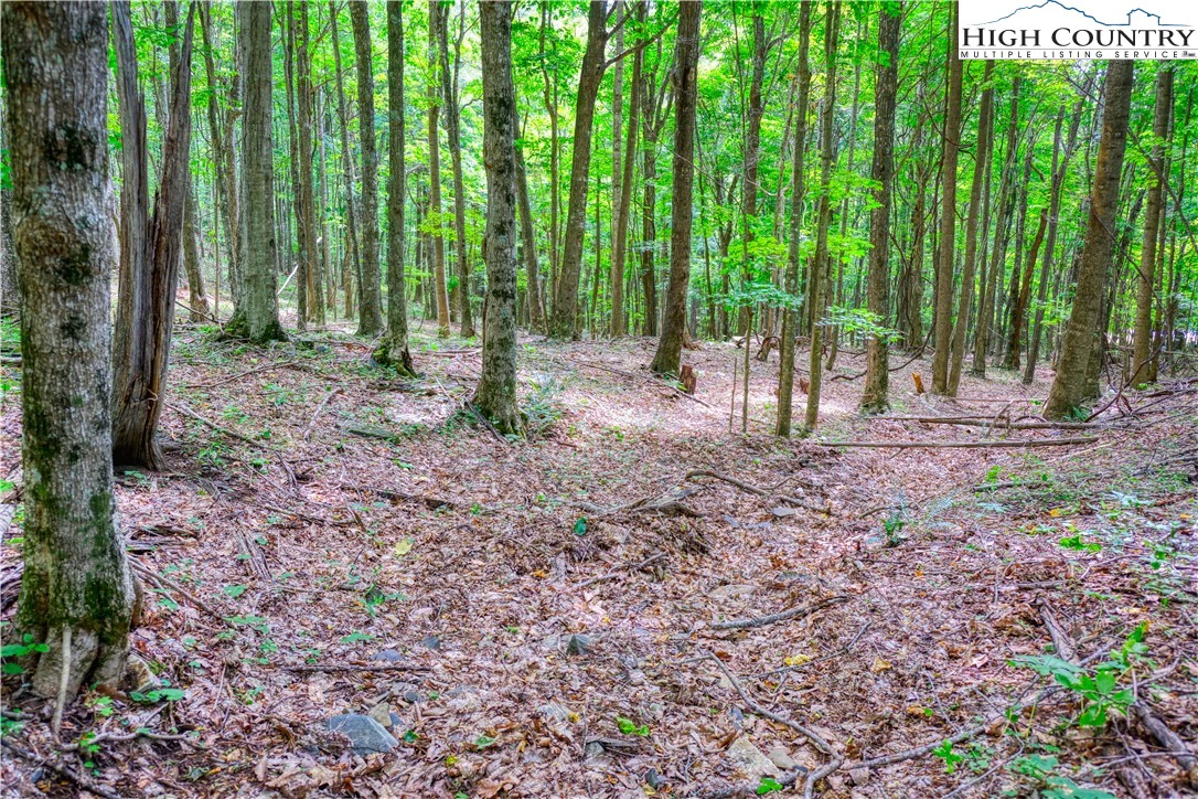 Image number 9 for the current listing