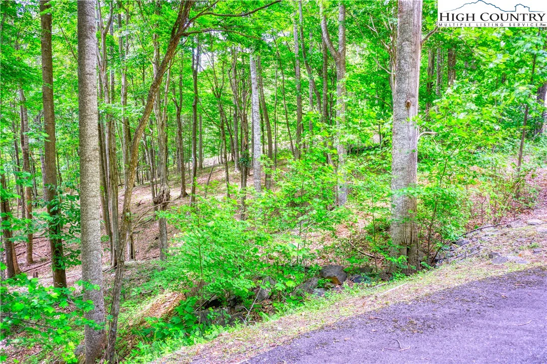 Image number 10 for the current listing