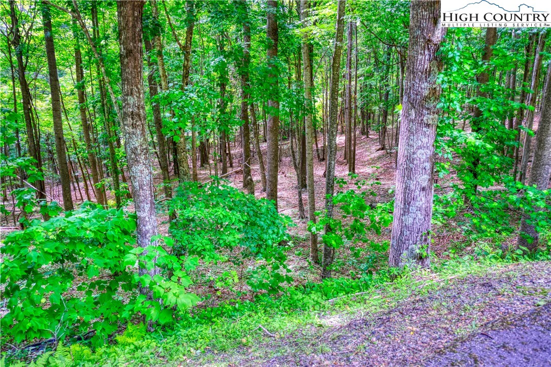Image number 11 for the current listing