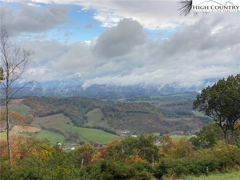 Image number 11 for the current listing