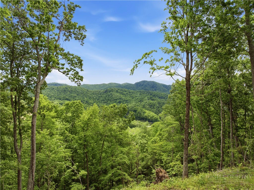 Image number 1 for the current listing