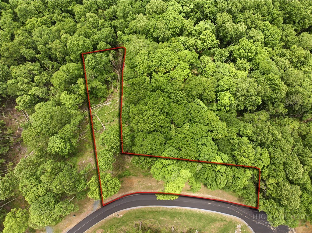 Image number 3 for the current listing