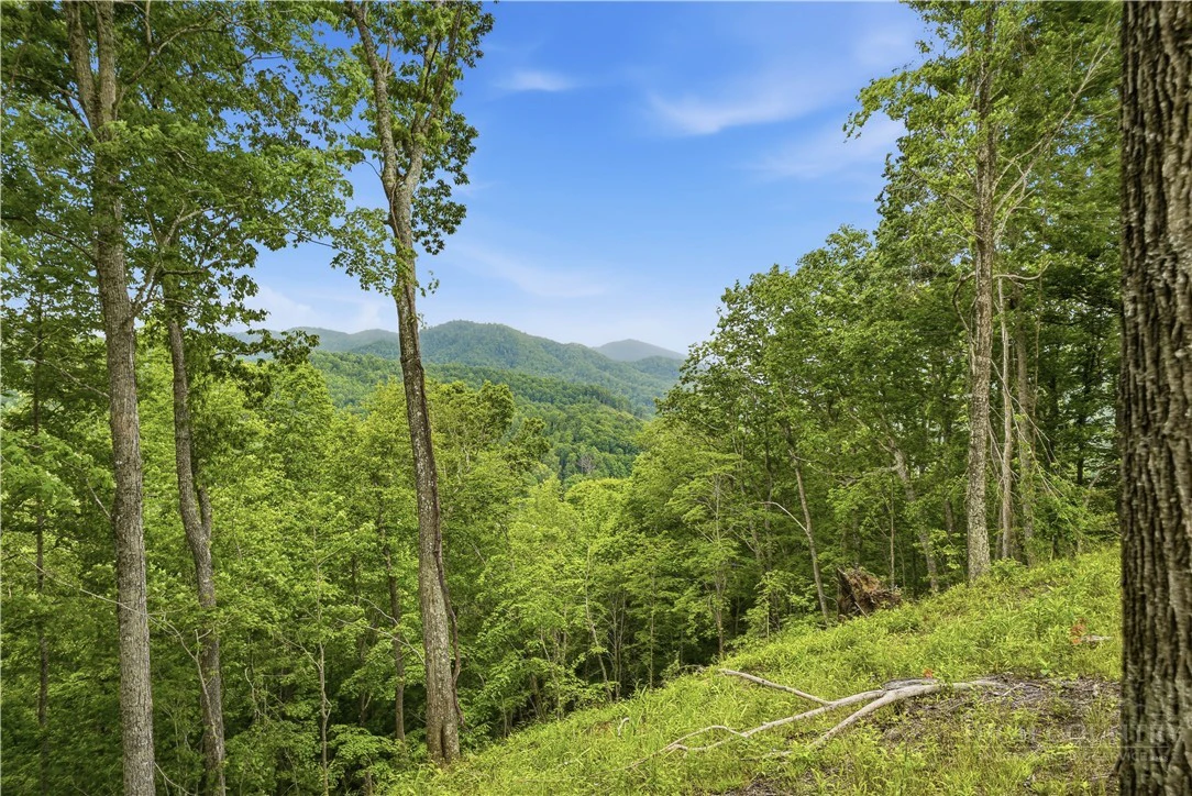 Image number 5 for the current listing