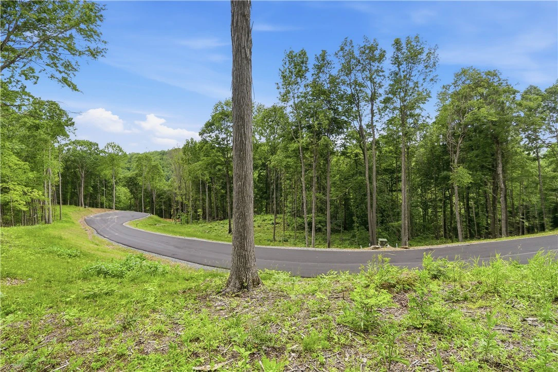 Image number 7 for the current listing
