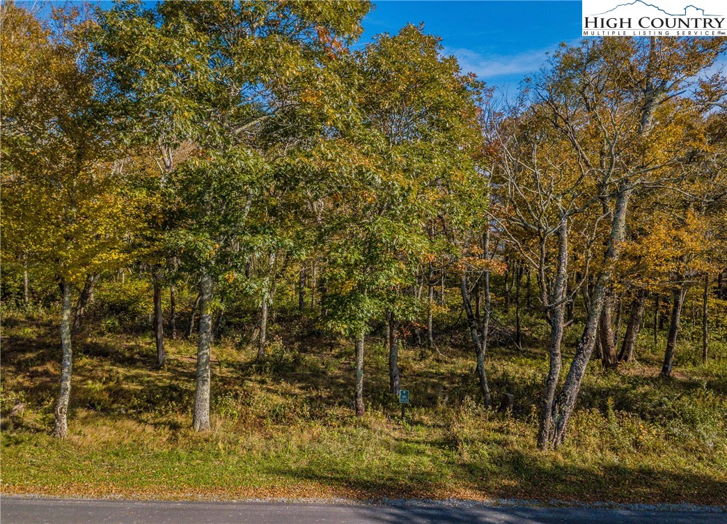 Image number 1 for the current listing