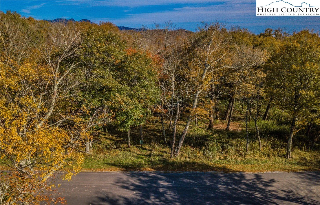 Image number 3 for the current listing