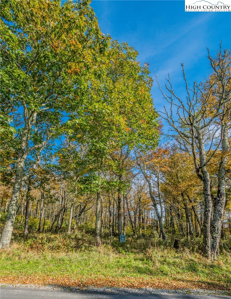 Image number 6 for the current listing