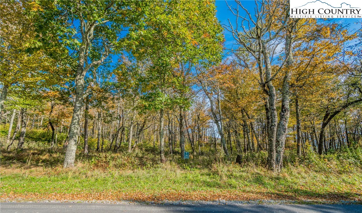 Image number 7 for the current listing