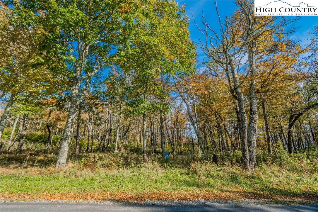 Image number 9 for the current listing