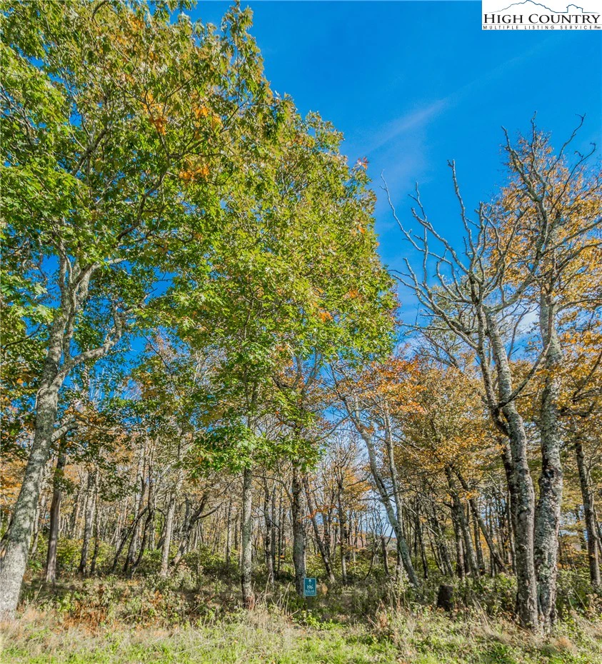 Image number 10 for the current listing