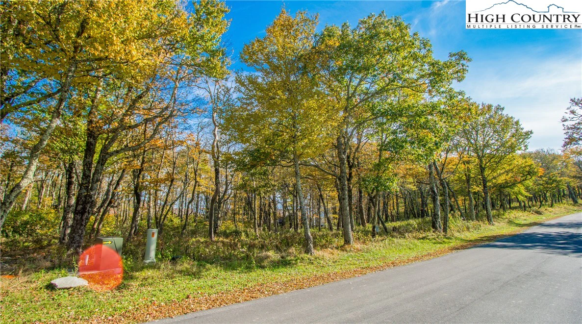 Image number 11 for the current listing
